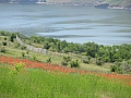 Dniestr w Bakocie. Fot. Piotr Jargusz