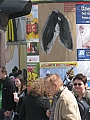 img_0117