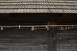 ter_0011
