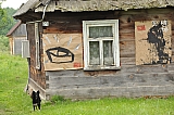 ter_0016
