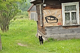 ter_0018