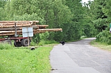 ter_0036