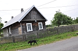 ter_0037