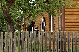 ter_0050