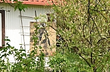 ter_0071