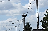 ter_0078