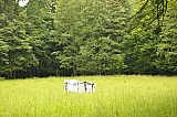 ter_0089