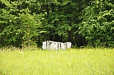 ter_0090