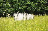 ter_0092