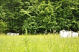ter_0093