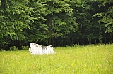 ter_0094