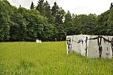 ter_0095