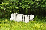 ter_0098