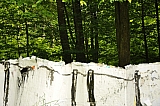 ter_0099