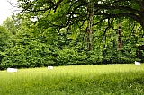 ter_0106