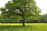 ter_0109