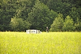 ter_0115