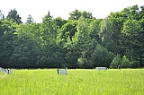 ter_0118