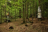 ter_0128