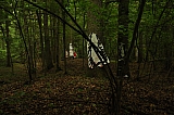 ter_0135