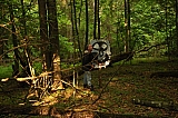 ter_0138
