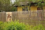ter_0145