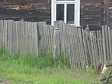 ter_0156