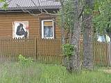 ter_0167