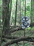 ter_0169