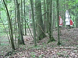 ter_0170