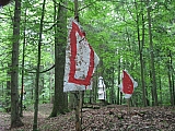 ter_0174