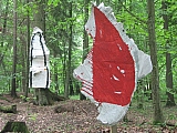 ter_0175