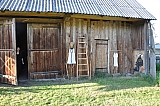 ter_0186
