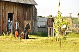 ter_0192