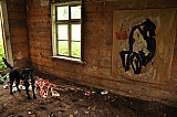ter_0219