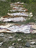 wand_0008