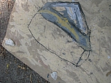 wand_0028