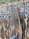 wand_0055